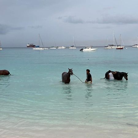 T.Cole'S Holiday Rental Saint James Bagian luar foto