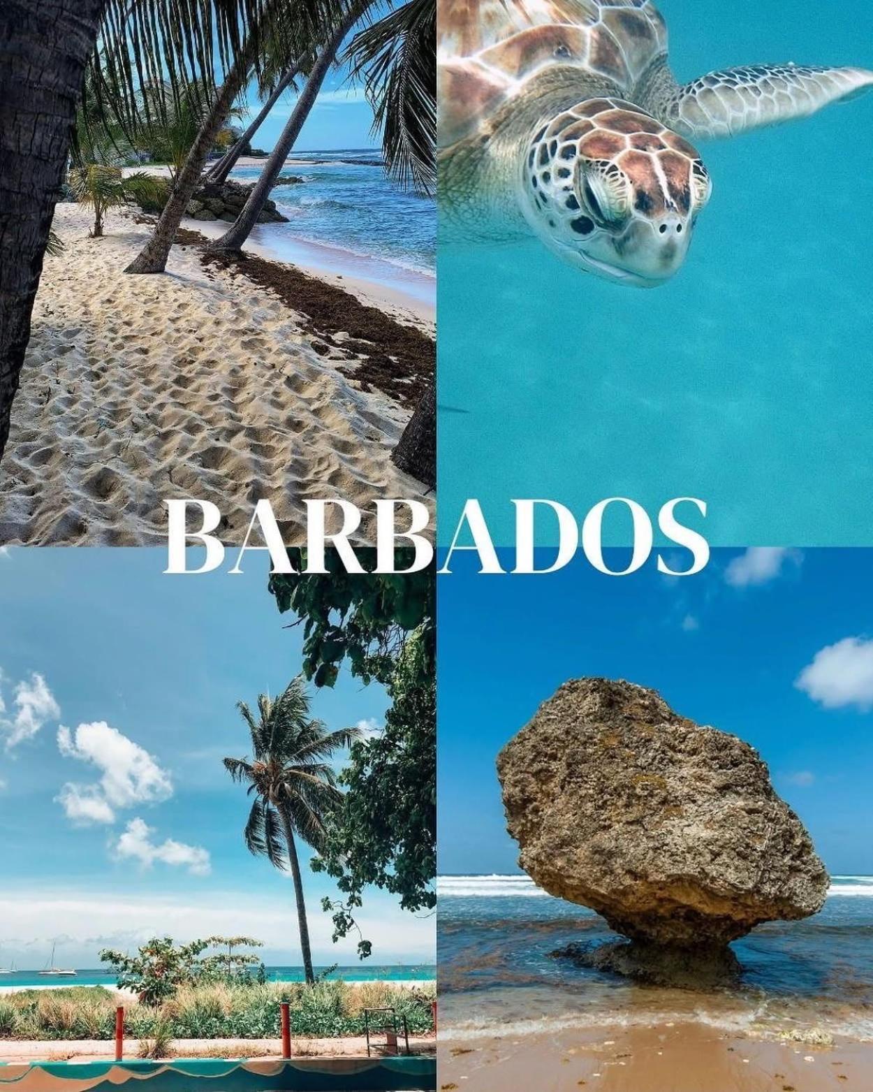 T.Cole'S Holiday Rental Saint James Bagian luar foto
