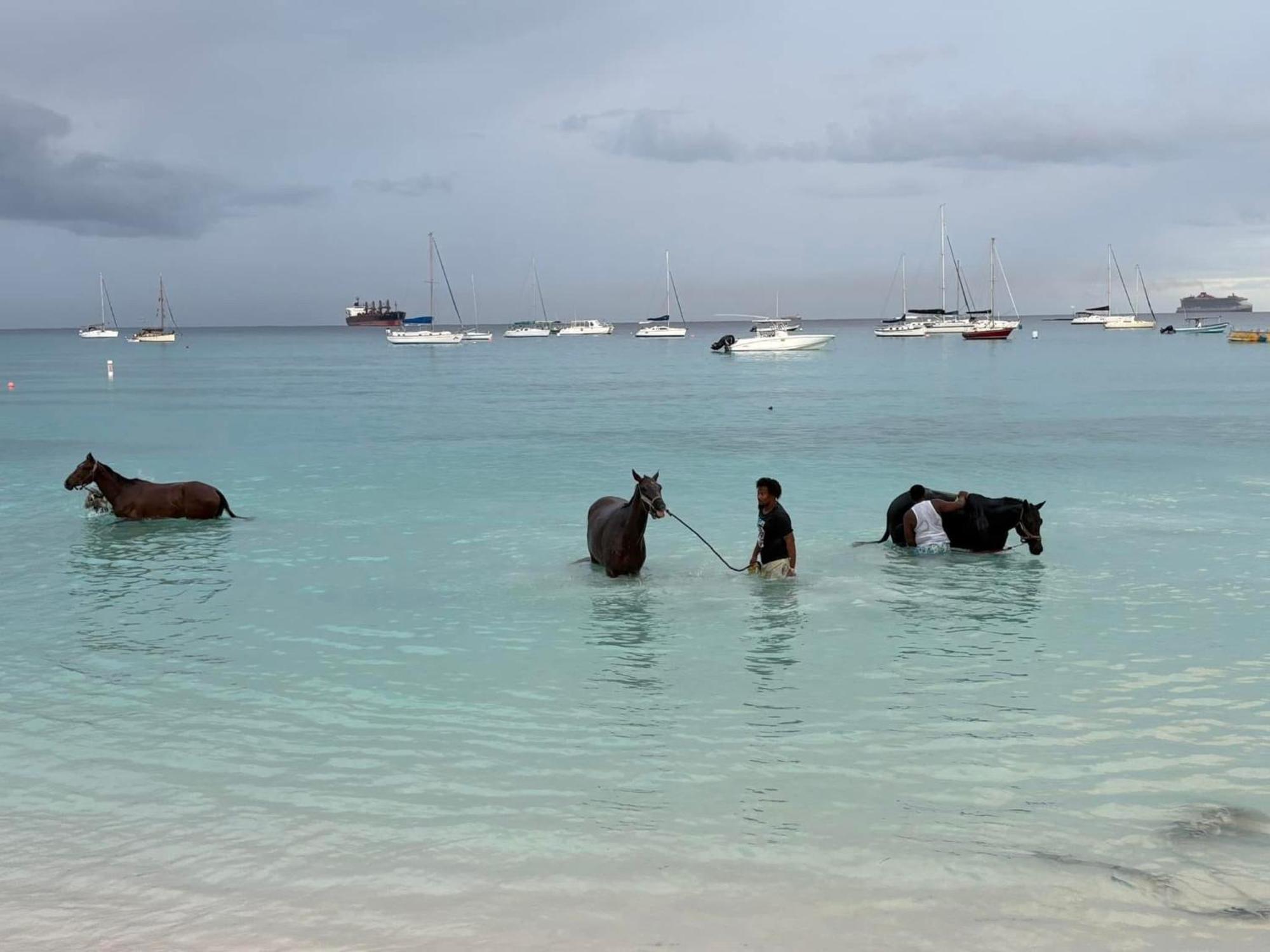 T.Cole'S Holiday Rental Saint James Bagian luar foto